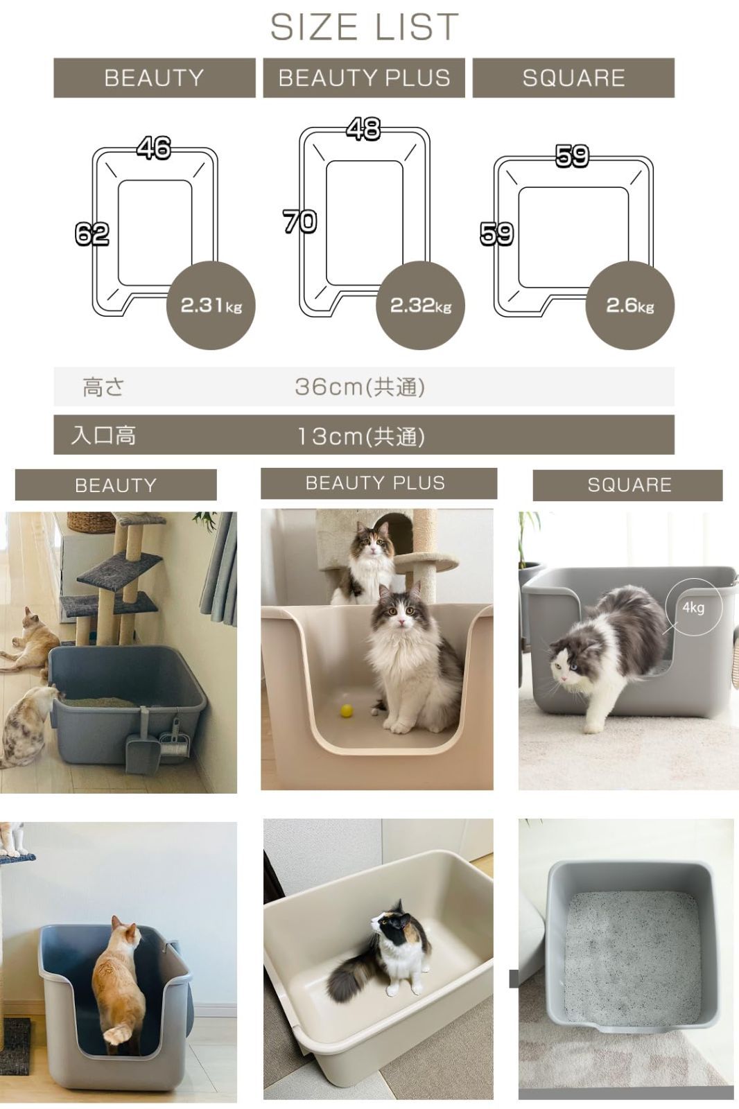 ONEKOSAMA おねこさま