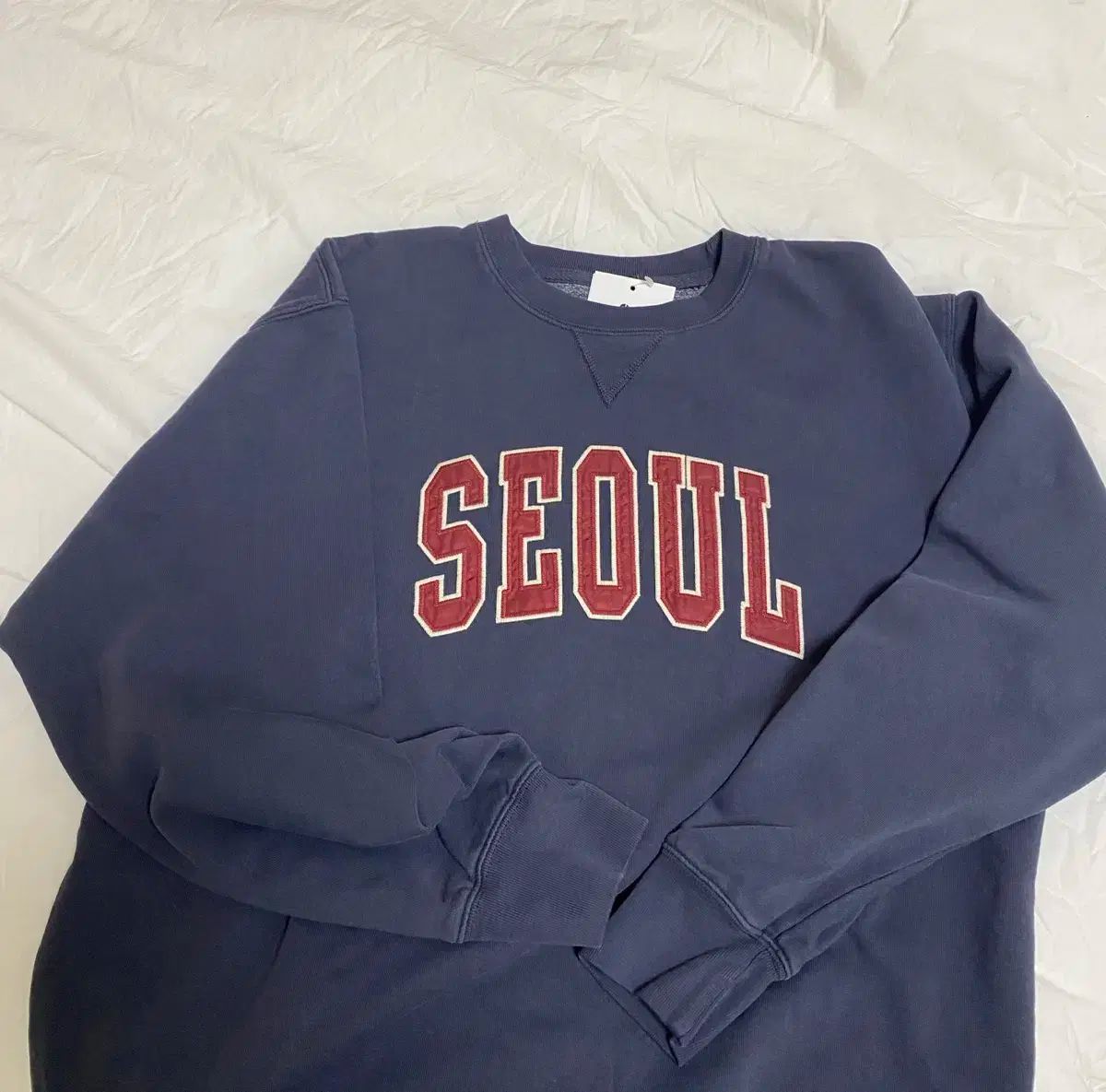 Brandy Melville ブランディー メルビル オーバーサイズ ソウル トレーナー