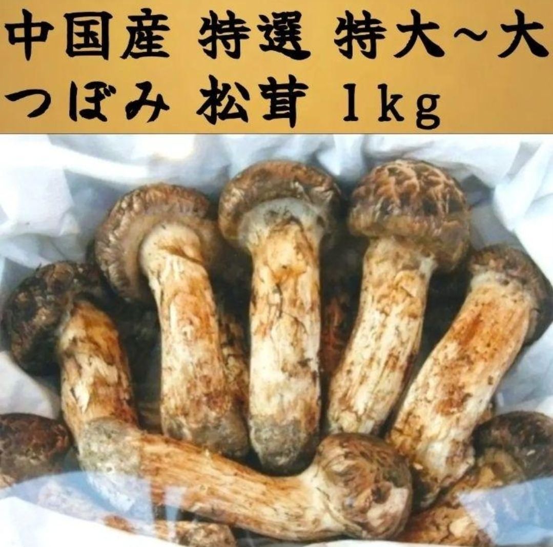 中国産 L~2L特大【天然 つぼみ 松茸 約1kg】 本数 7～16本 お中元 土瓶 