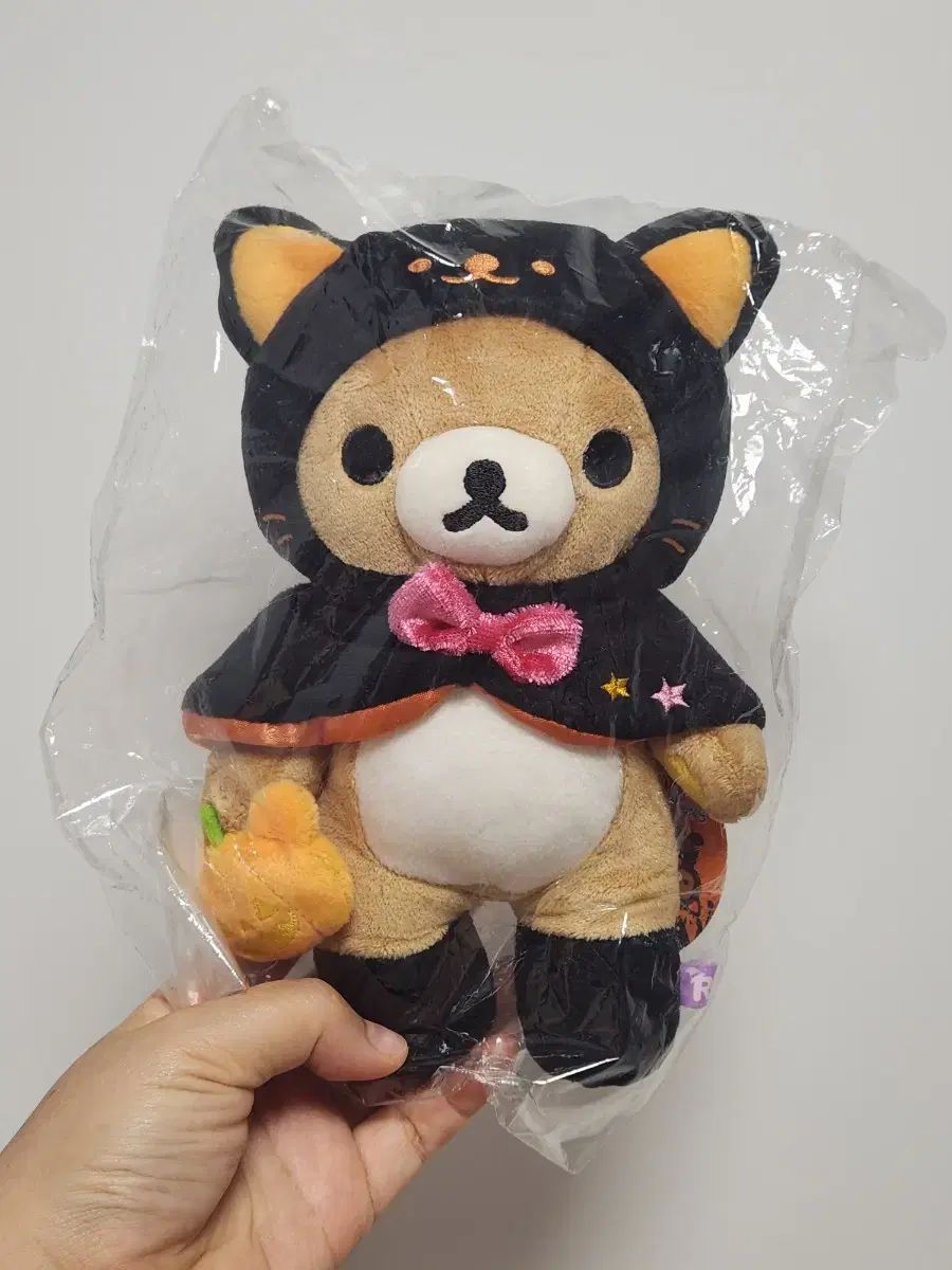 収穫目的、巨大260㎝◇サンタカタリーナバナナ＝超糖度バランス◇低木