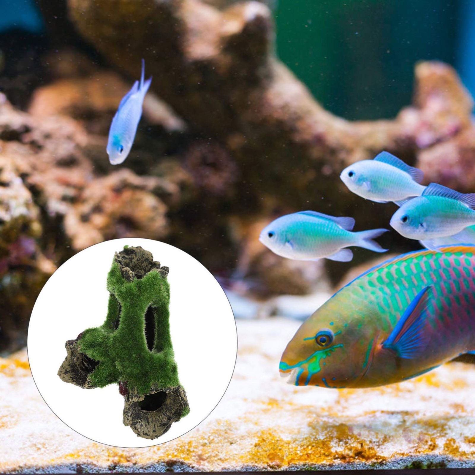 【新品未使用】観賞魚/熱帯魚/金魚/爬虫類 隠れ家 アクセサリー 水槽 水族館内装 水槽 構築植物 オーナメント 水槽 オブジェ 飾り アクアリウム ミニ水草/人工流木セット POPETPOP