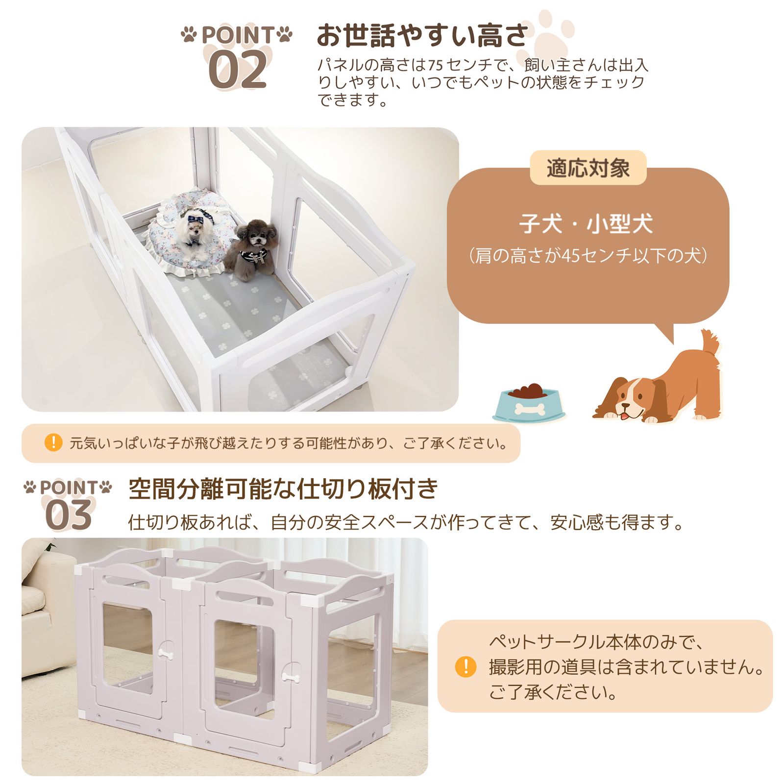小型犬