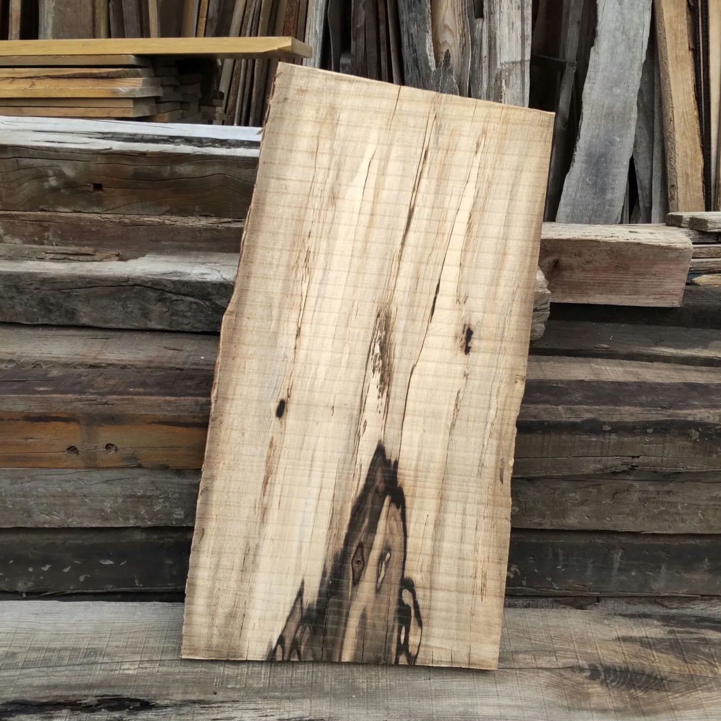 黒柿 クロガキ 板 SN-4