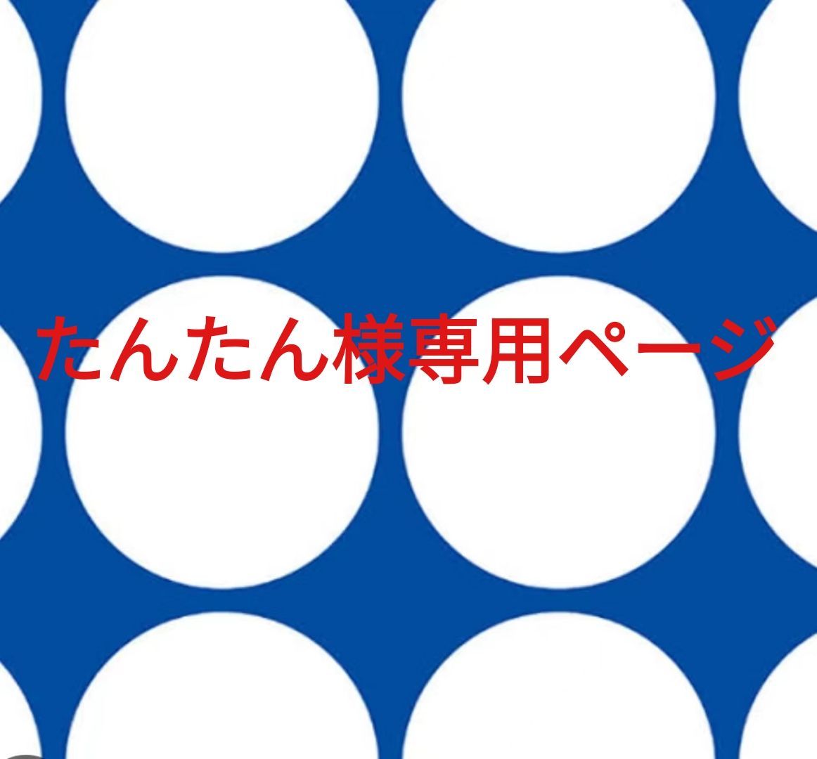 お得在庫タンタン様専用ページ ネックレス