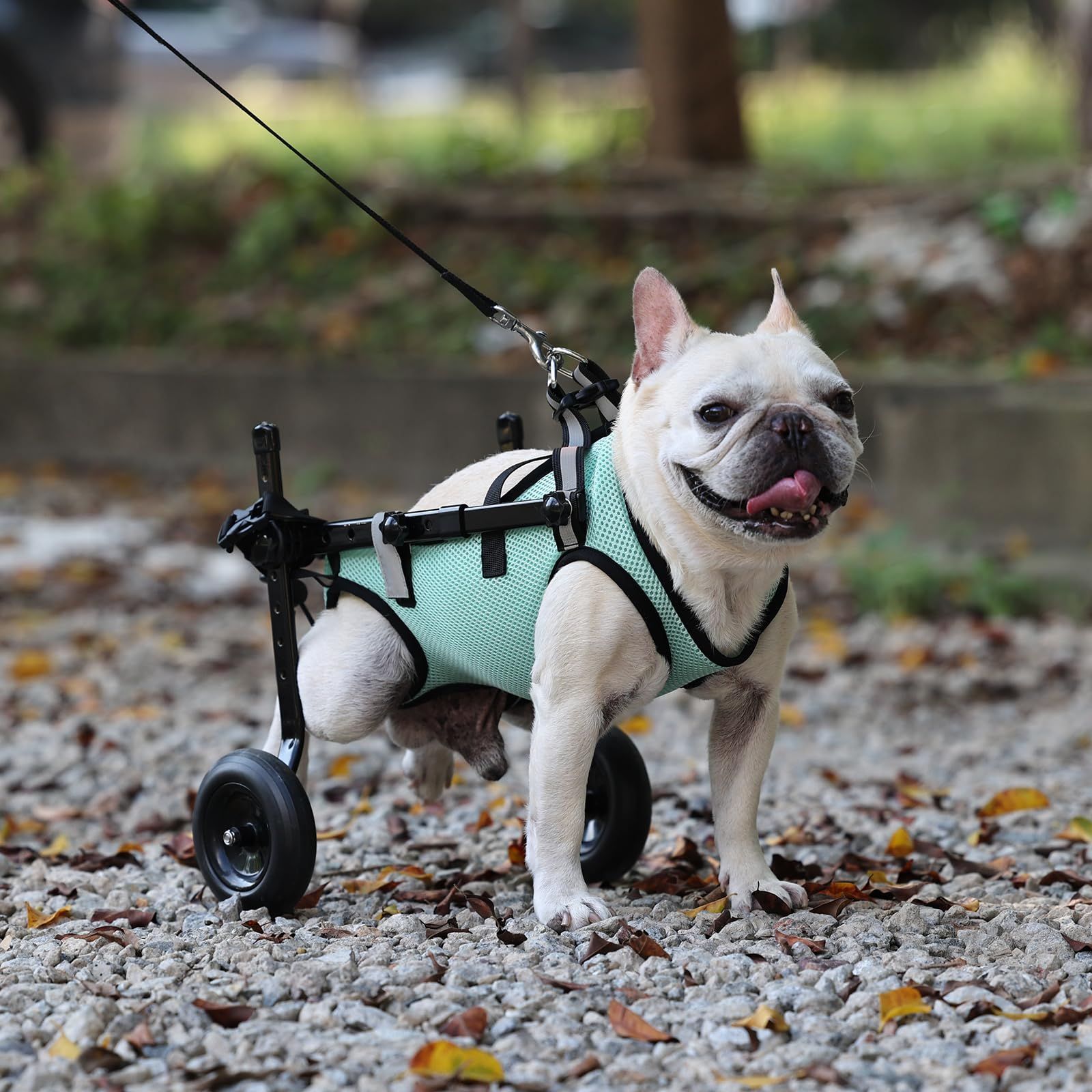 サイズ調整可能 犬用カート ２輪 小型犬 犬介護 犬リハビリ用具 補助輪 軽量 歩行補助 犬ヘルスケア ペット歩行器 犬の歩行補助具 (XS) 犬用車椅子  BECEMURU - メルカリ