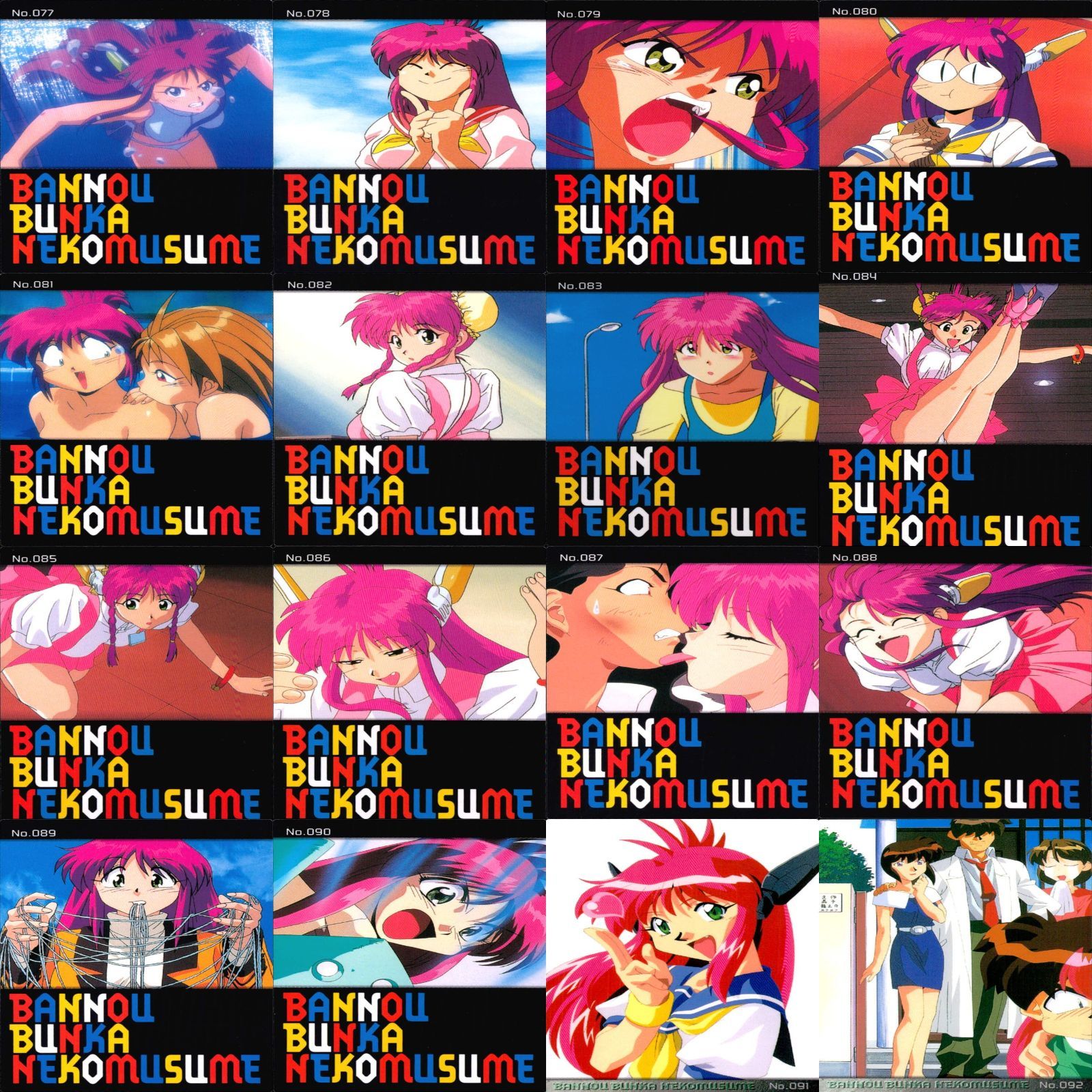 猫娘 万能文化 万能文化猫娘 カードダスマスターズ コンプ