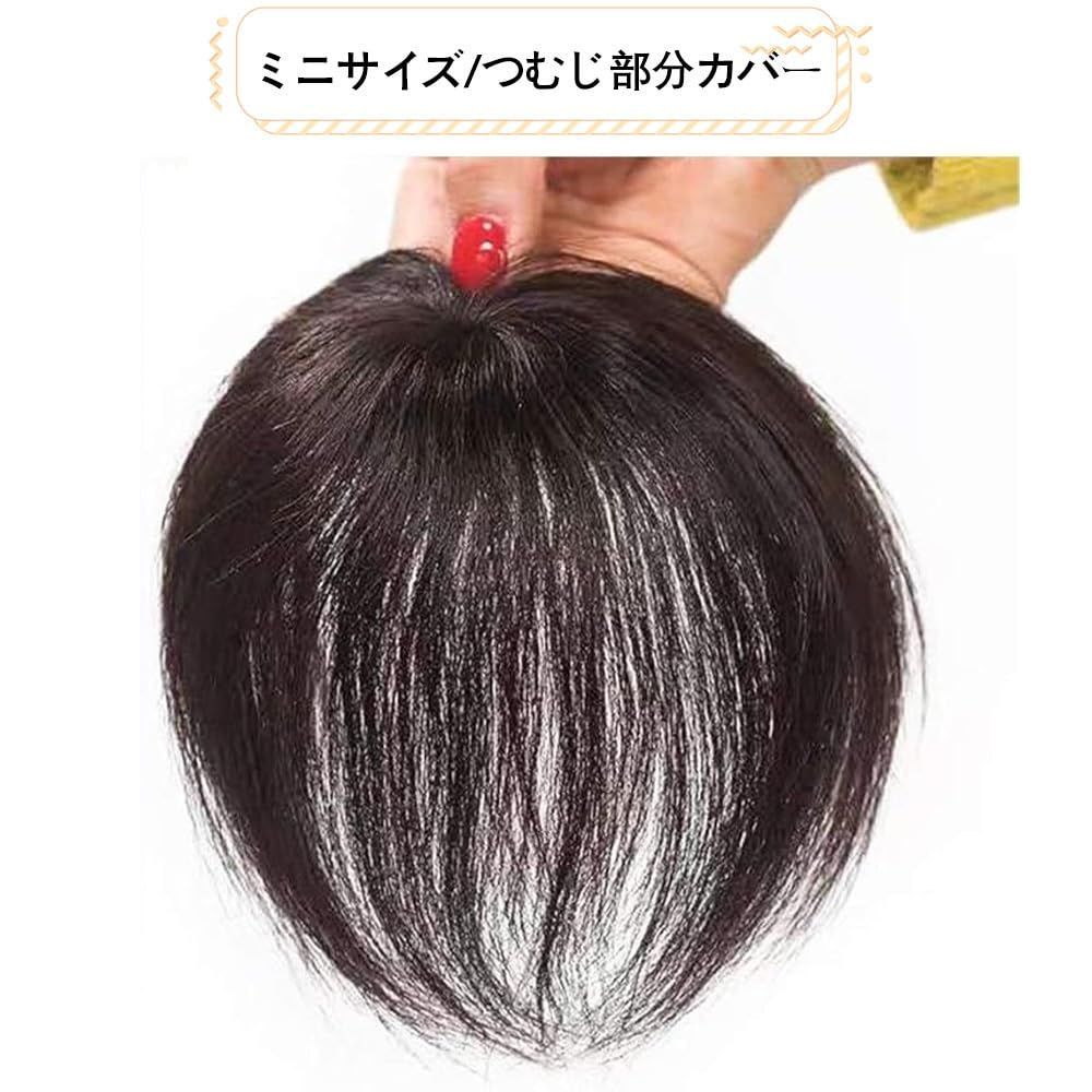 QIAOXI ウイッグ ヘアーピース つむじタイプ 付け毛 ストレート