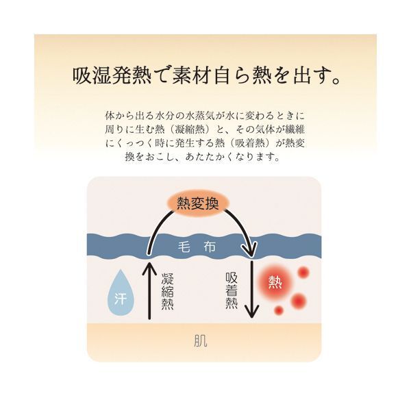 大津コーポレーション 吸湿発熱ニューマイヤー毛布 ハーフサイズ