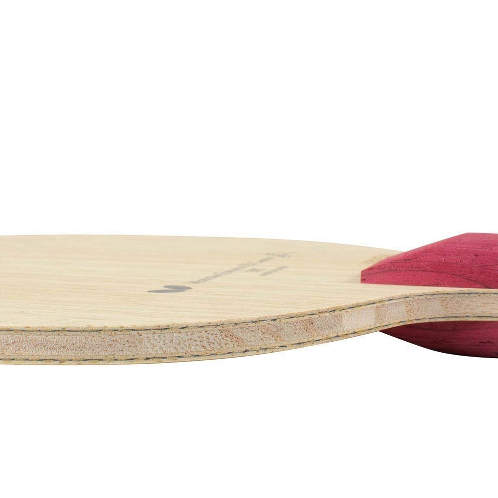 バタフライ PRAYERS OF YEAR 販促用特大タペストリー 卓球 水谷隼