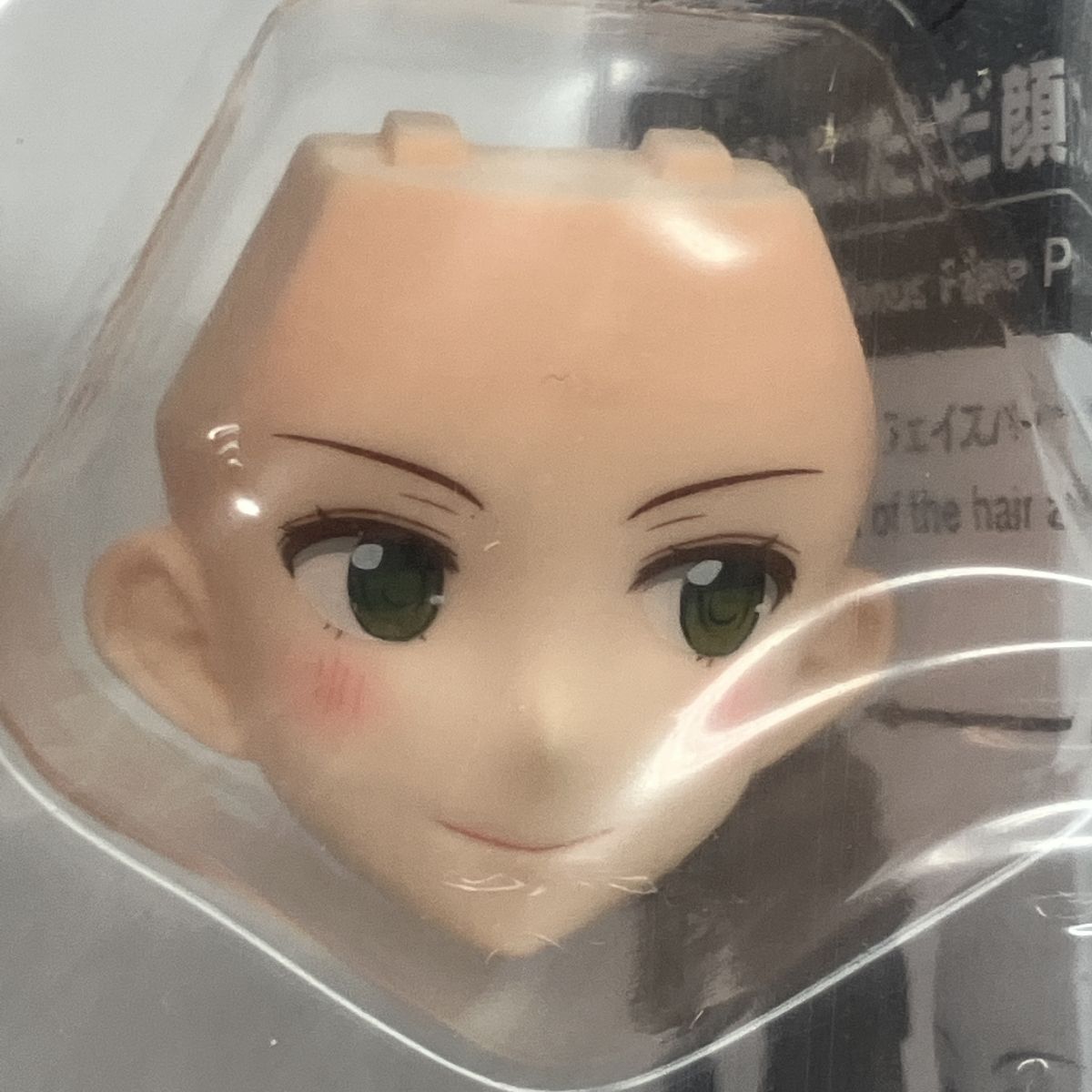 日南葵