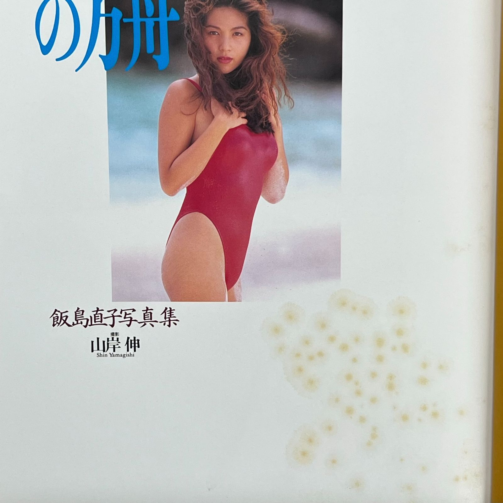 飯島直子写真集nao おとなしく