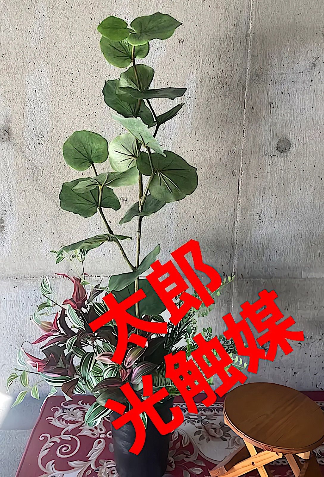 光触媒 人工観葉植物 ウォールグリーン フェイクグリーン ハンドメイド