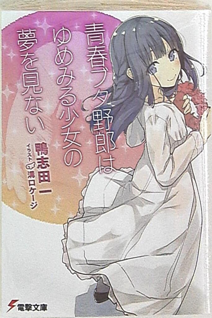 KADOKAWA 電撃文庫 鴨志田一 青春ブタ野郎はゆめみる少女の夢を見ない