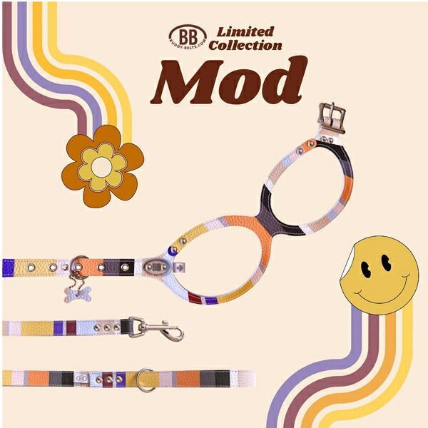 リングハーネス メガネハーネス