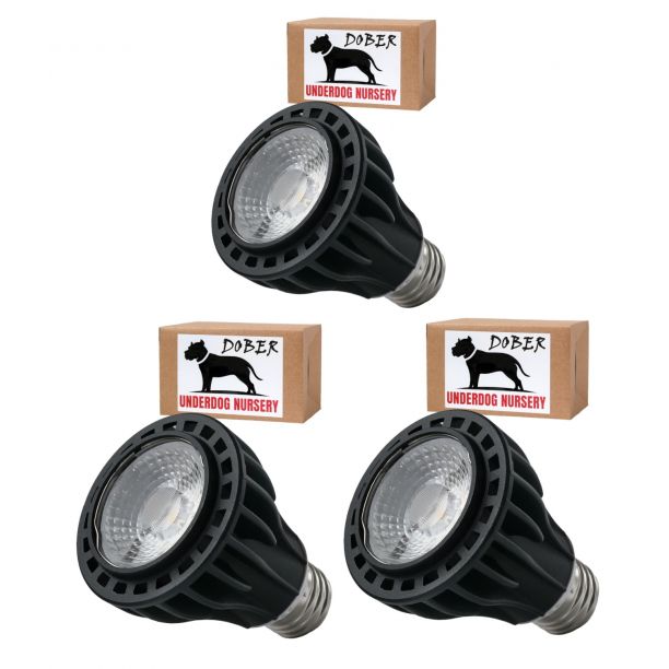 早大英語 佐々木和彦編 2011年