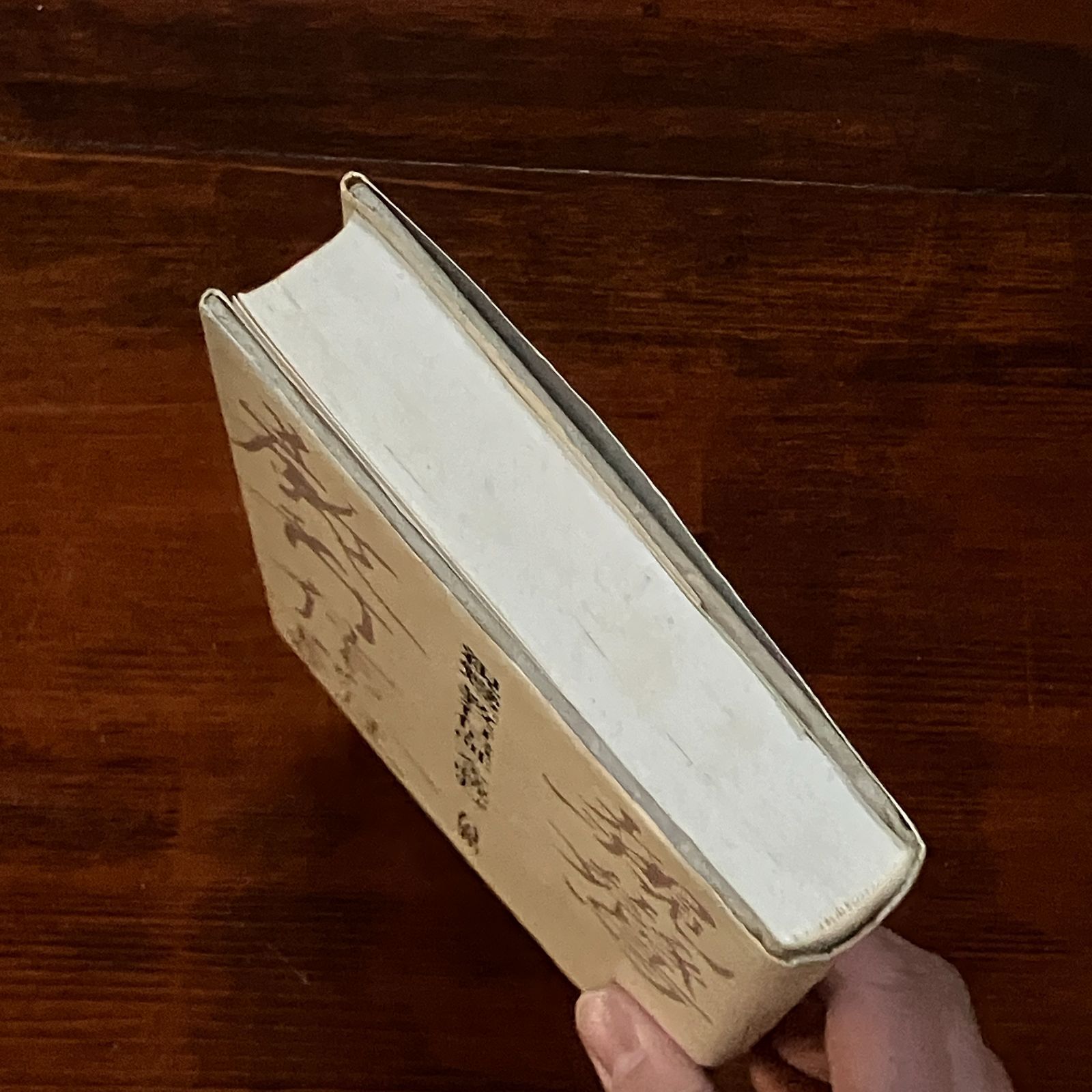 親鸞『教行信証』を読む 石田慶和 著 顕浄土真実教行証文類 1985.1 