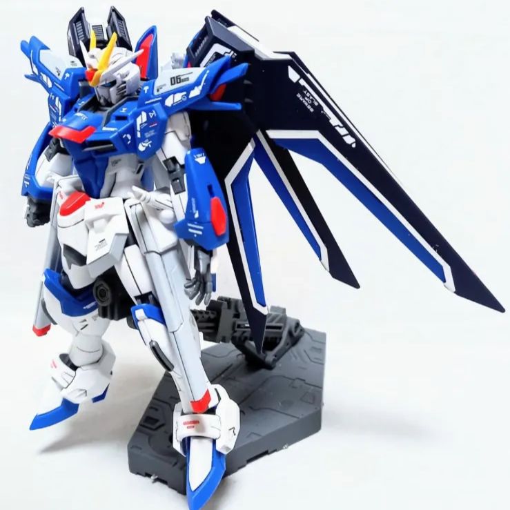 完成品 HG 1/144 ライジングフリーダムガンダム ガンプラ 組立て済み 