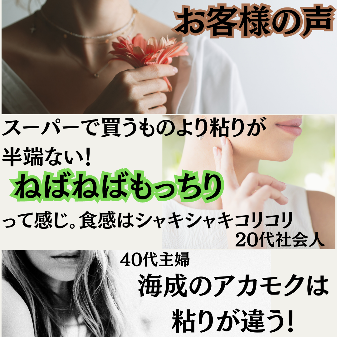 【天然アカモク】玄界灘の海成のアカモク　あかもく900ｇ|海成