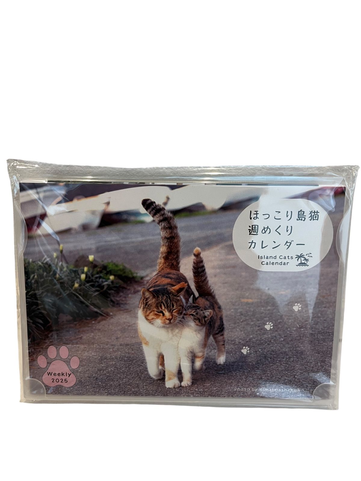 【新品】名前はまだない。 猫 2025 卓上カレンダー直筆サイン入チェキ 新品】名前はまだない。 猫 2025 卓上カレンダー直筆サイン入