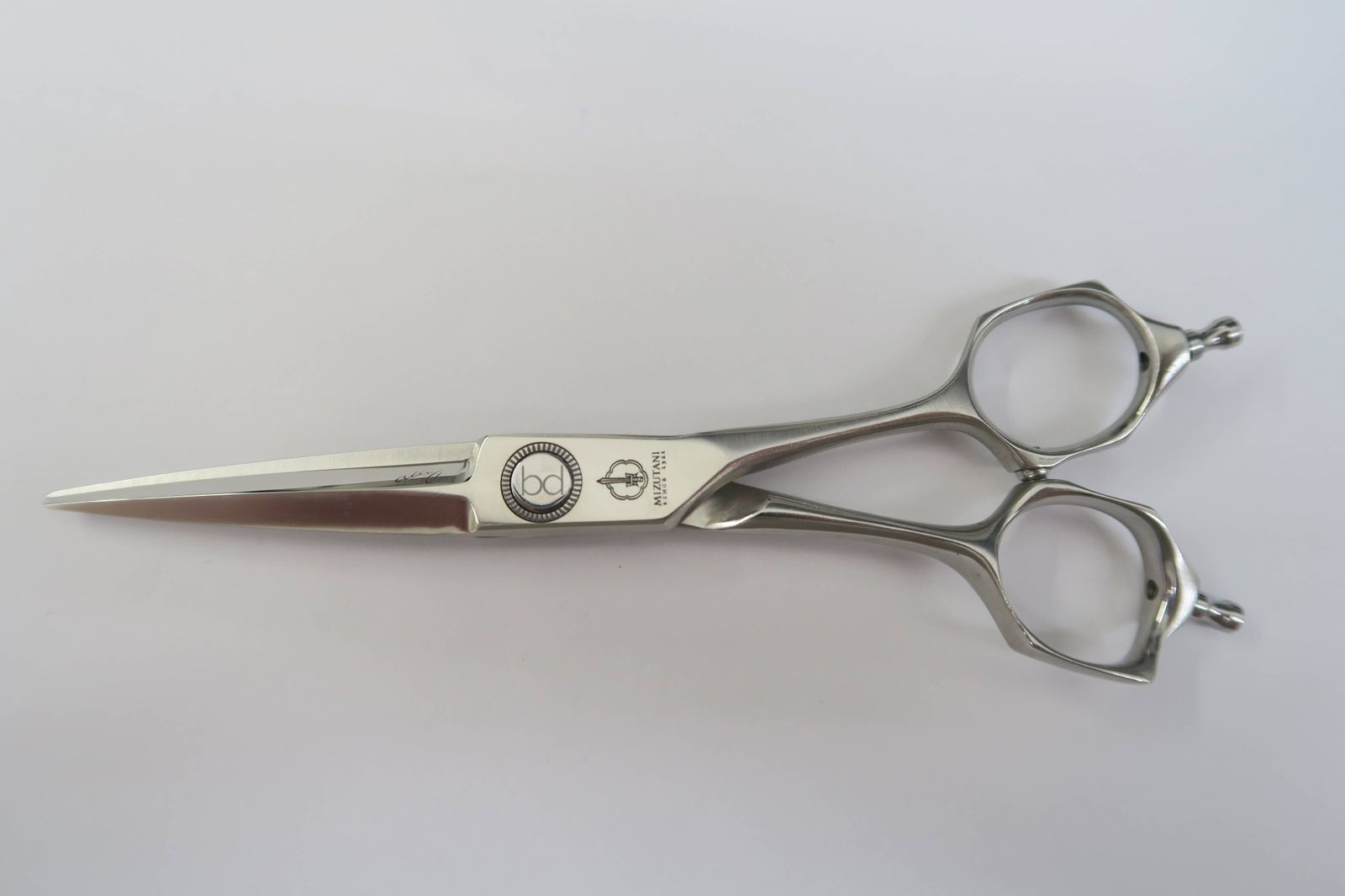 ミズタニシザー ステライトアロイ ゴールド加工160 特集 新製品 2025