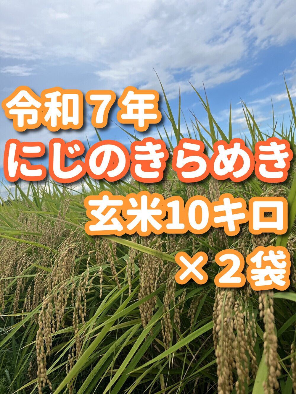 数量 茨城県産 にじのきらめき 玄米１０㎏×２ 即 OK