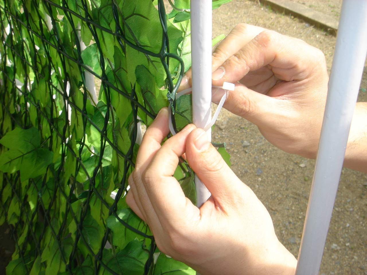 ダークグリーン Out