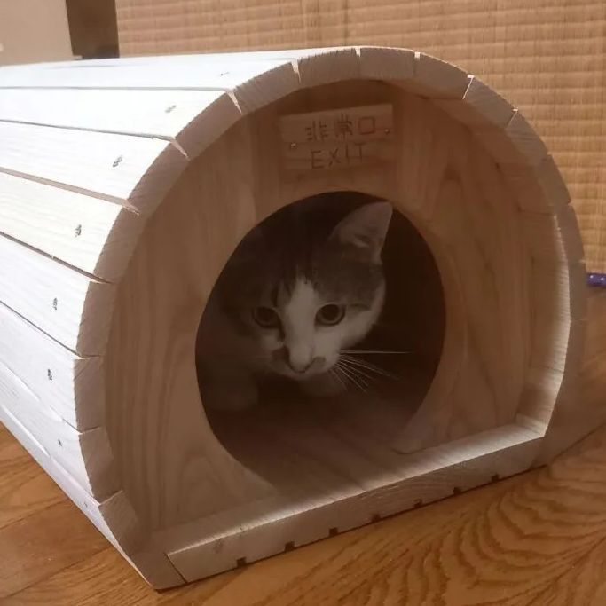 猫トンネルハウス