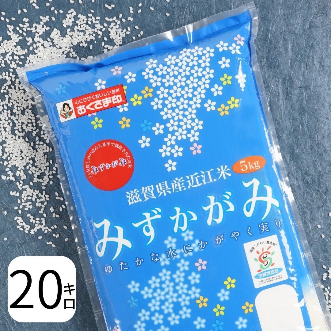新米 令和5年 米 お米 白米 みずかがみ 5kg 滋賀県産 送料無料