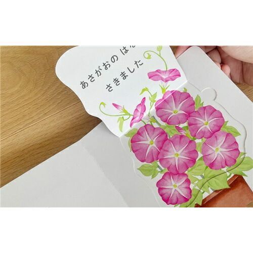 まとめ コクヨ 絵本 どんなはながさく ×10セット