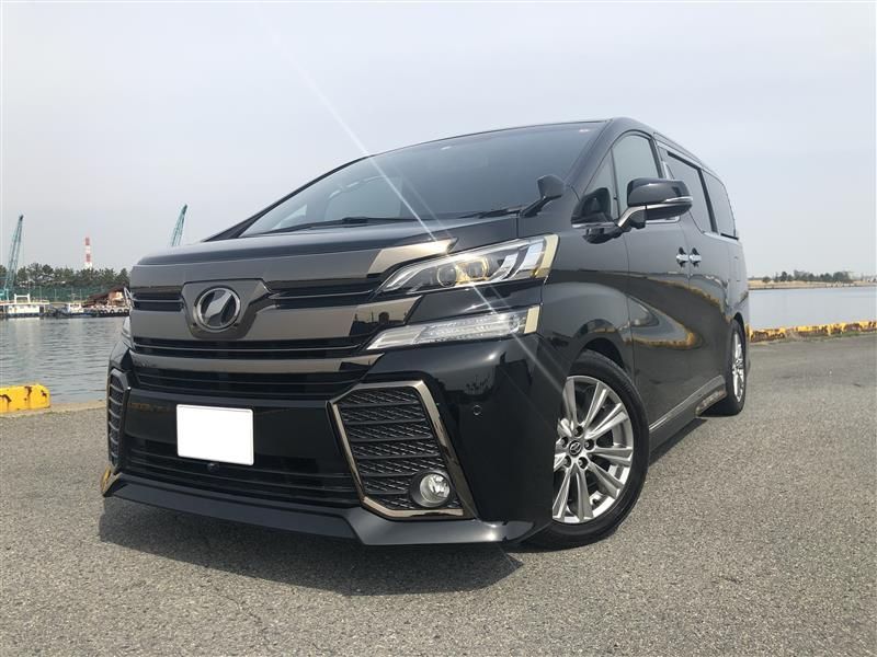 新品 トヨタ純正 ヴェルファイア 30 ゴールデンアイズ フードモール