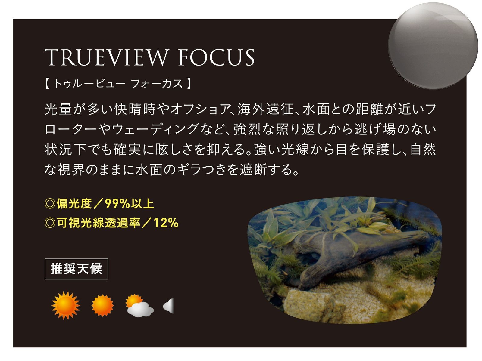 モスブラック TRUEVIEW