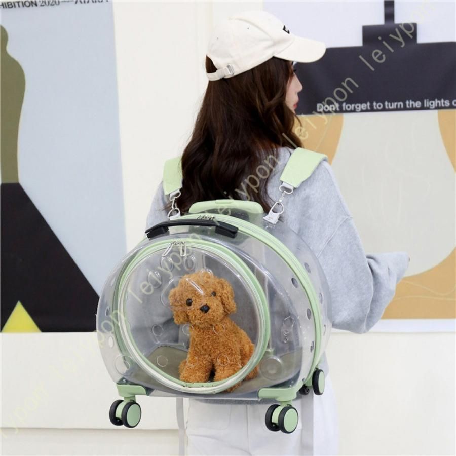 犬