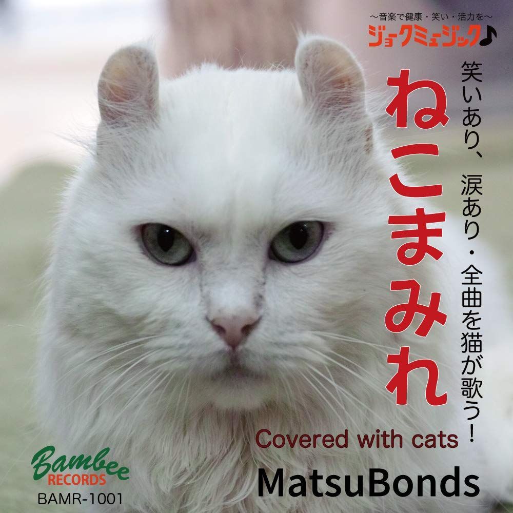 ねこまみれ Ten&O 木製プレート ねこまみれ 「メルティ黒」(メルティ黒