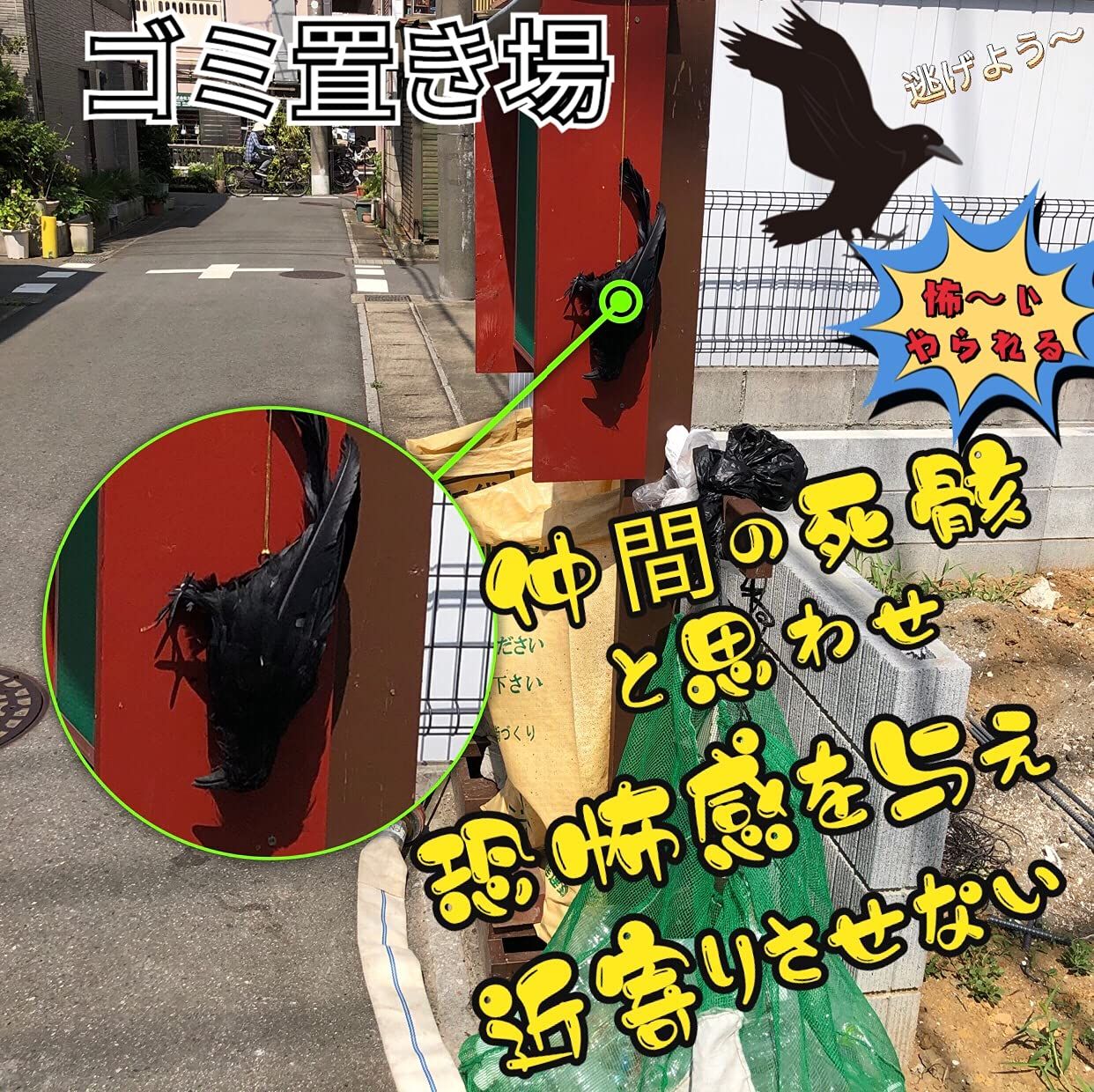 ONESORA カラスよけ 鳥よけグッズ 本物そっくり リアル羽毛カラス 原寸体サイズ 4羽 ぶら下げて吊るすだけ カラス撃退 WWW_SKLAD-KIRPICHA_RU