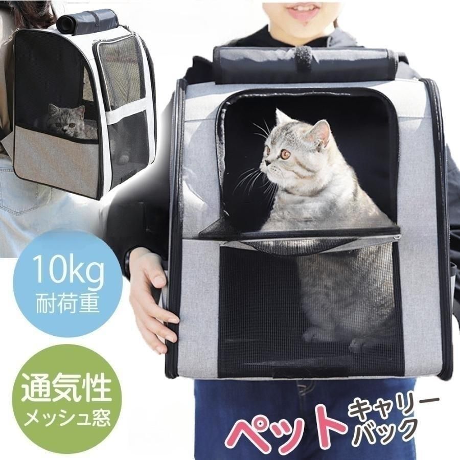 ネコ