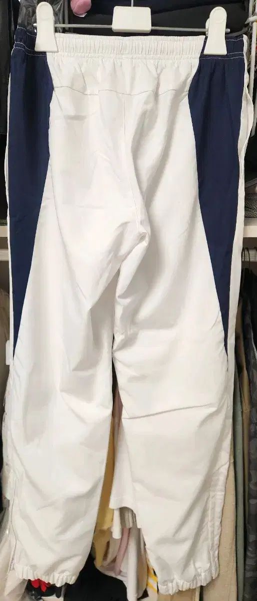 ラコステ トレーニングウェア