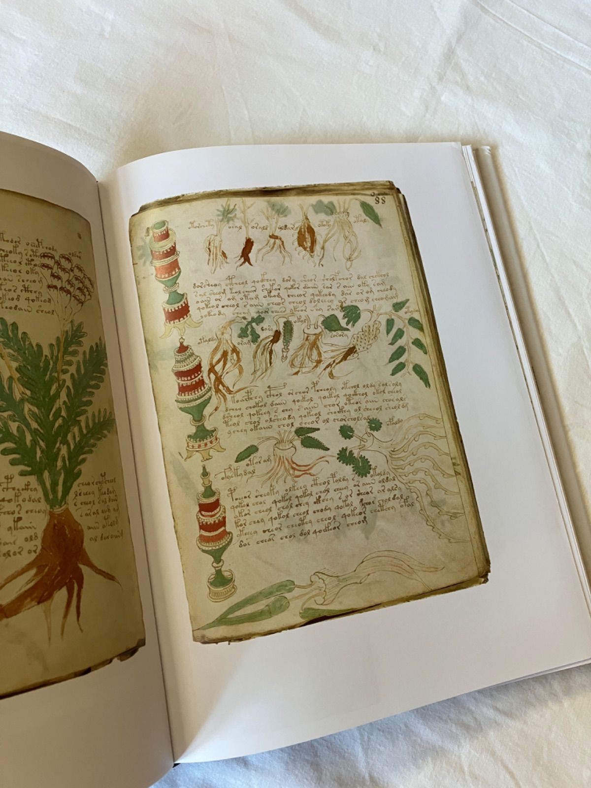 THE VOYNICH MANUSCRIPT ヴォイニッチ手稿 ヴォイニッチ手稿 ファクシミリ版 the voynich manuscript - メルカリ