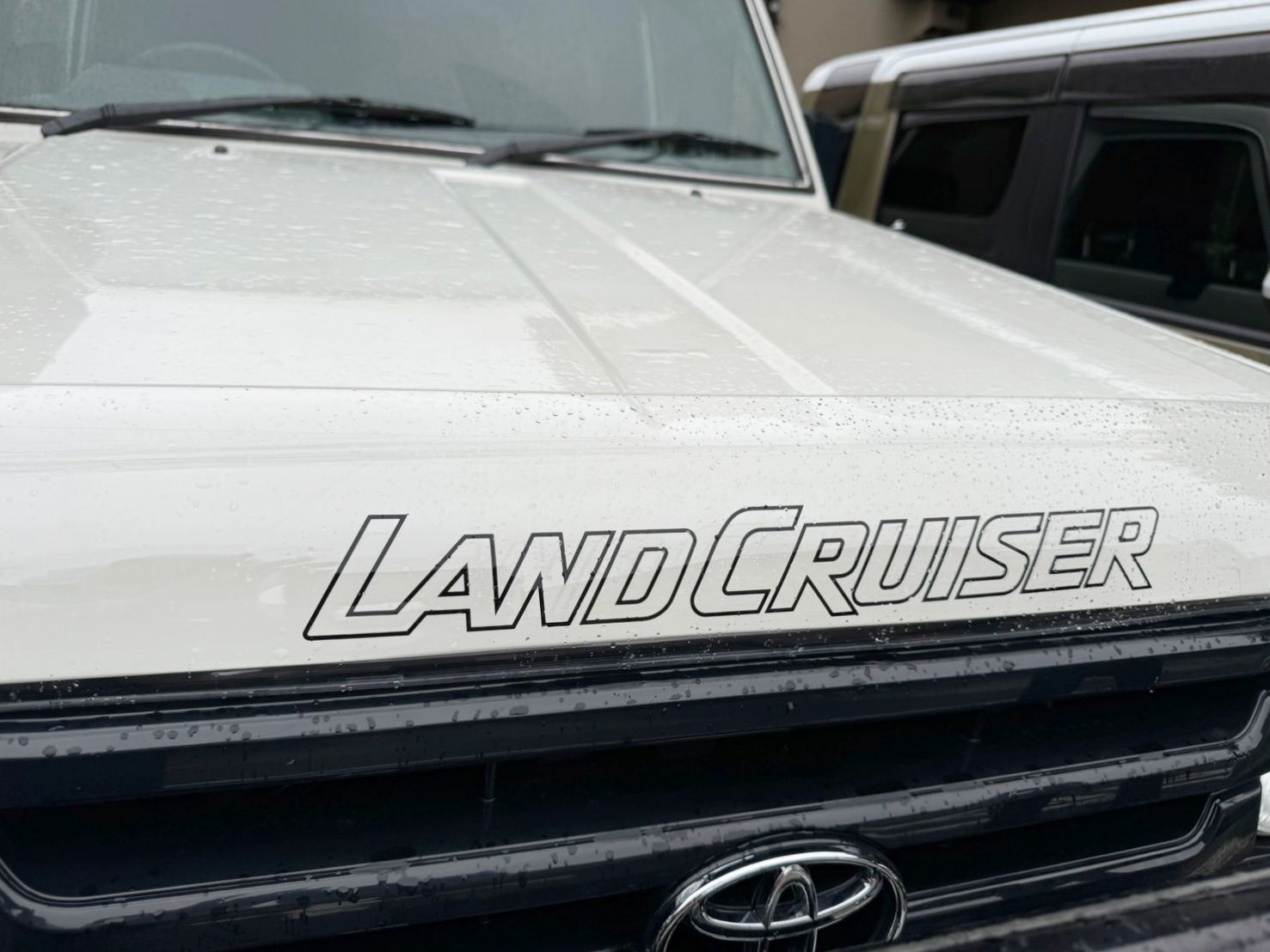 オーストラリアトヨタ純正】ランクル70 丸目 バグガード