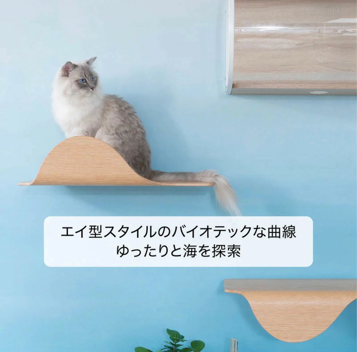 全年齢対応