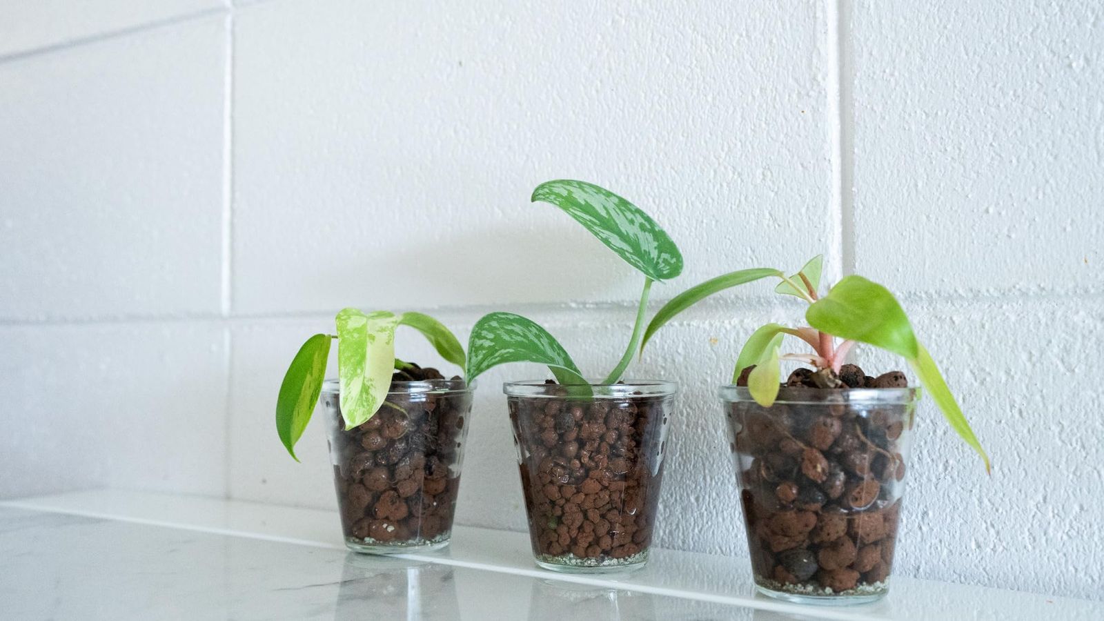 ハイドロボール