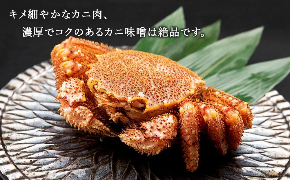 訳あり毛蟹9kg 楽天市場】毛蟹 訳あり（総重量（水産物）500 ～ 999g）（食品