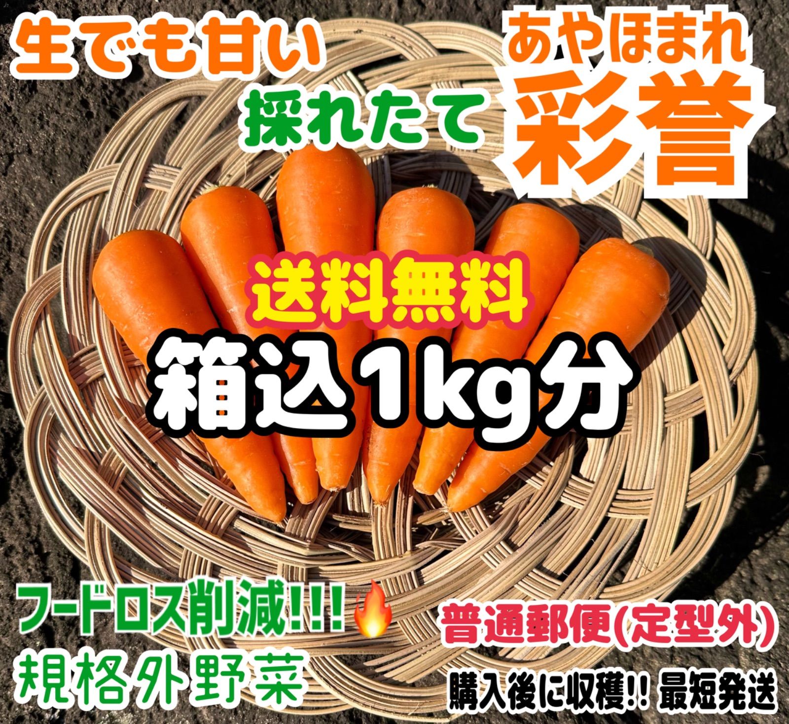 送料無料【生でも甘い採れたて産地直送！】にんじん1Kg (箱込) 稀少