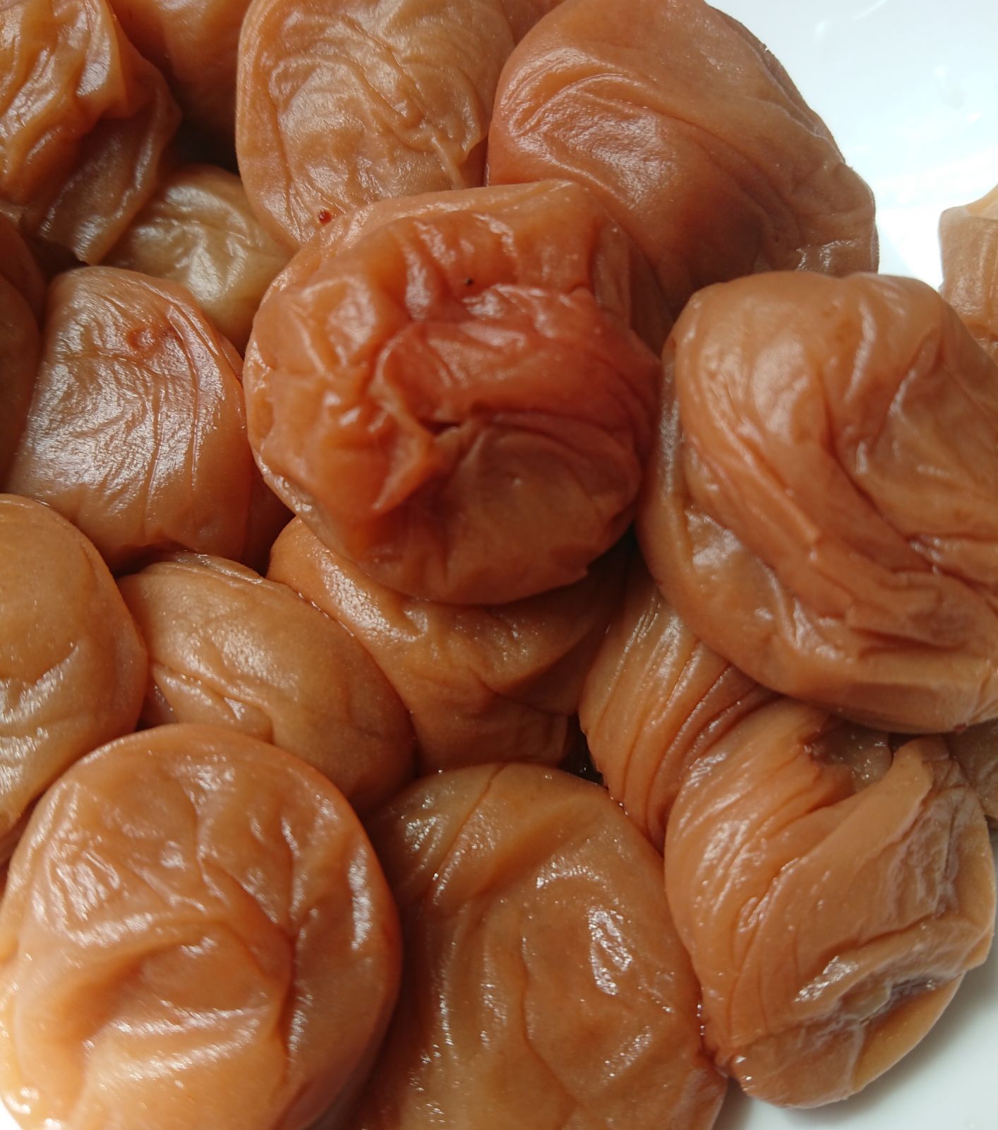 紀州南高梅完熟白干梅干し【無添加、無着色】500g-1