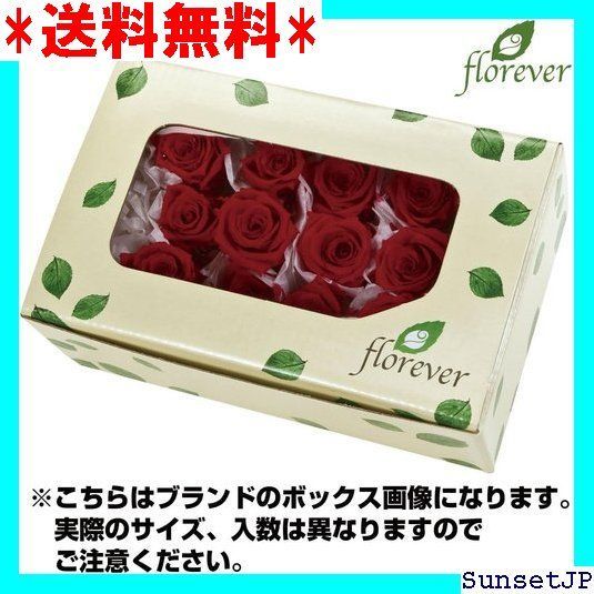 ☆母の日☆ FLorever プリザーブドフラワー フレッシュルックミニカーネーション 12輪入り チェリーブロッサム FL001200-020 31  メルカリ