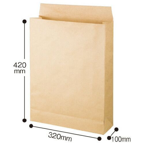 パ 宅配袋１００ｇ 大 ラミネート付 ５０枚×４4175-4856 カウネット