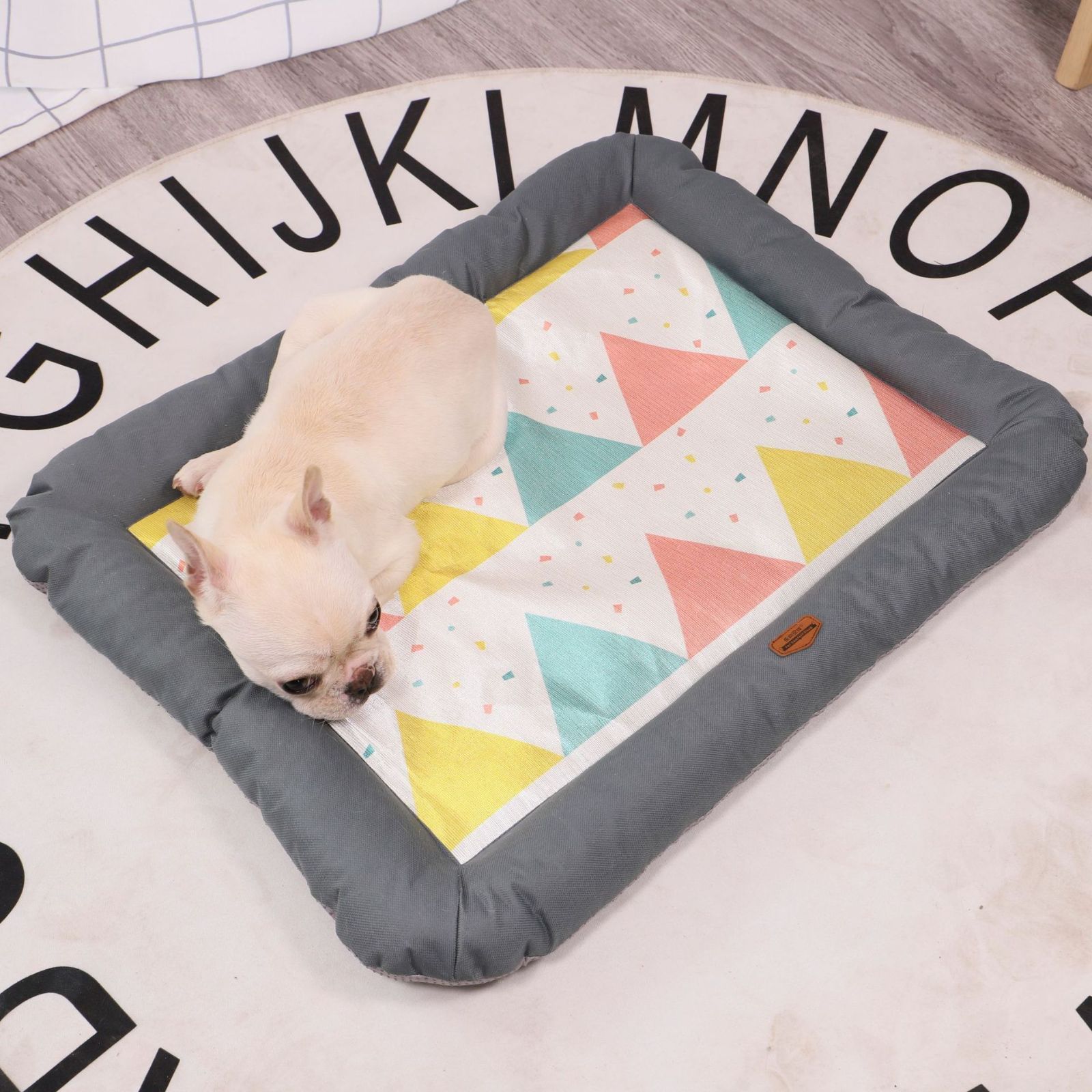 犬