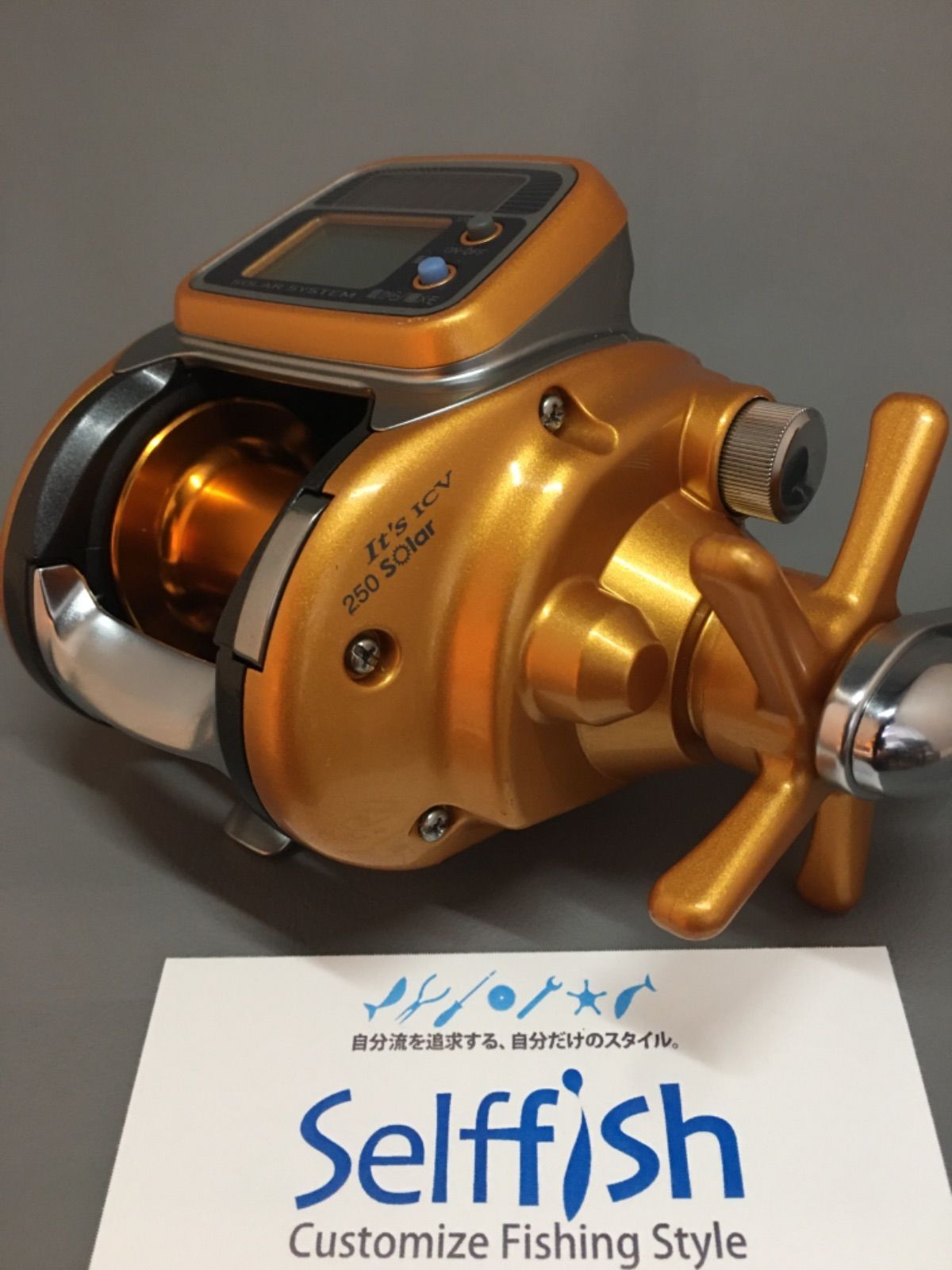 ダイワ(Daiwa) イッツICV250ソーラー 00614786｜アウトドア用品