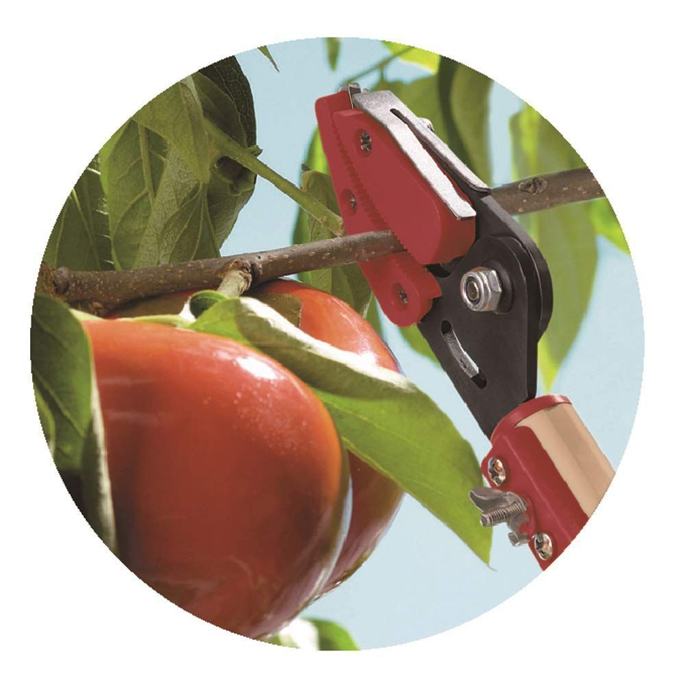 軽量 高枝切はさみ