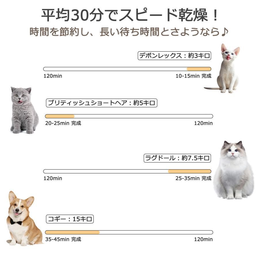 最新 3年保証