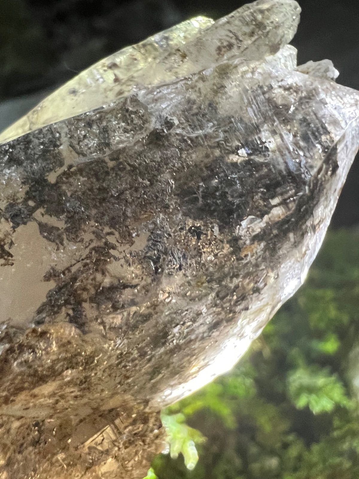 龍脈の精髄 ― ガーデンクォーツ - カテドラルクラスター 大地と聖域を併せ持つ石 売上の一部は保護猫活動に使用 WWW_SUPERTOOLSSHOP_NL